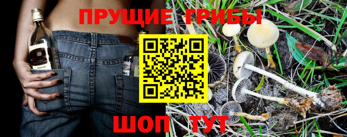 Галлюциногенные грибы MAGIC MUSHROOMS  Галлюциногенные грибы мухоморы  Вход с VPN  Новосибирск 