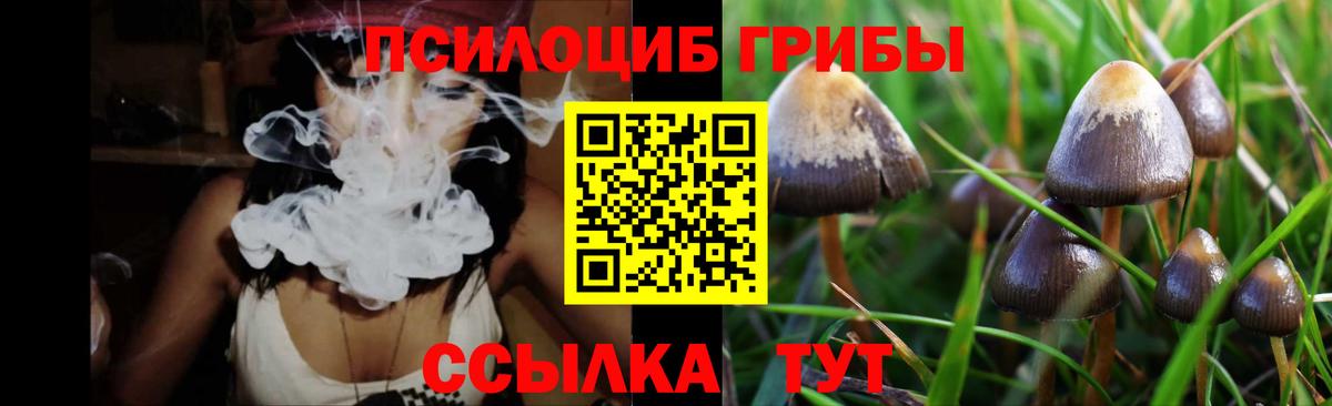 Псилоцибиновые грибы Magic Shrooms Новосибирск
